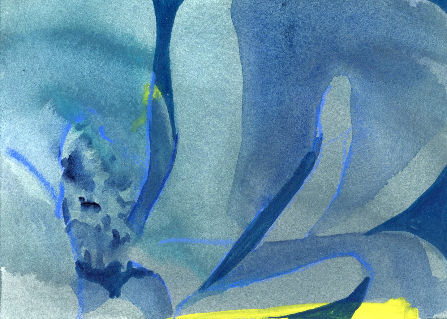 La Flor