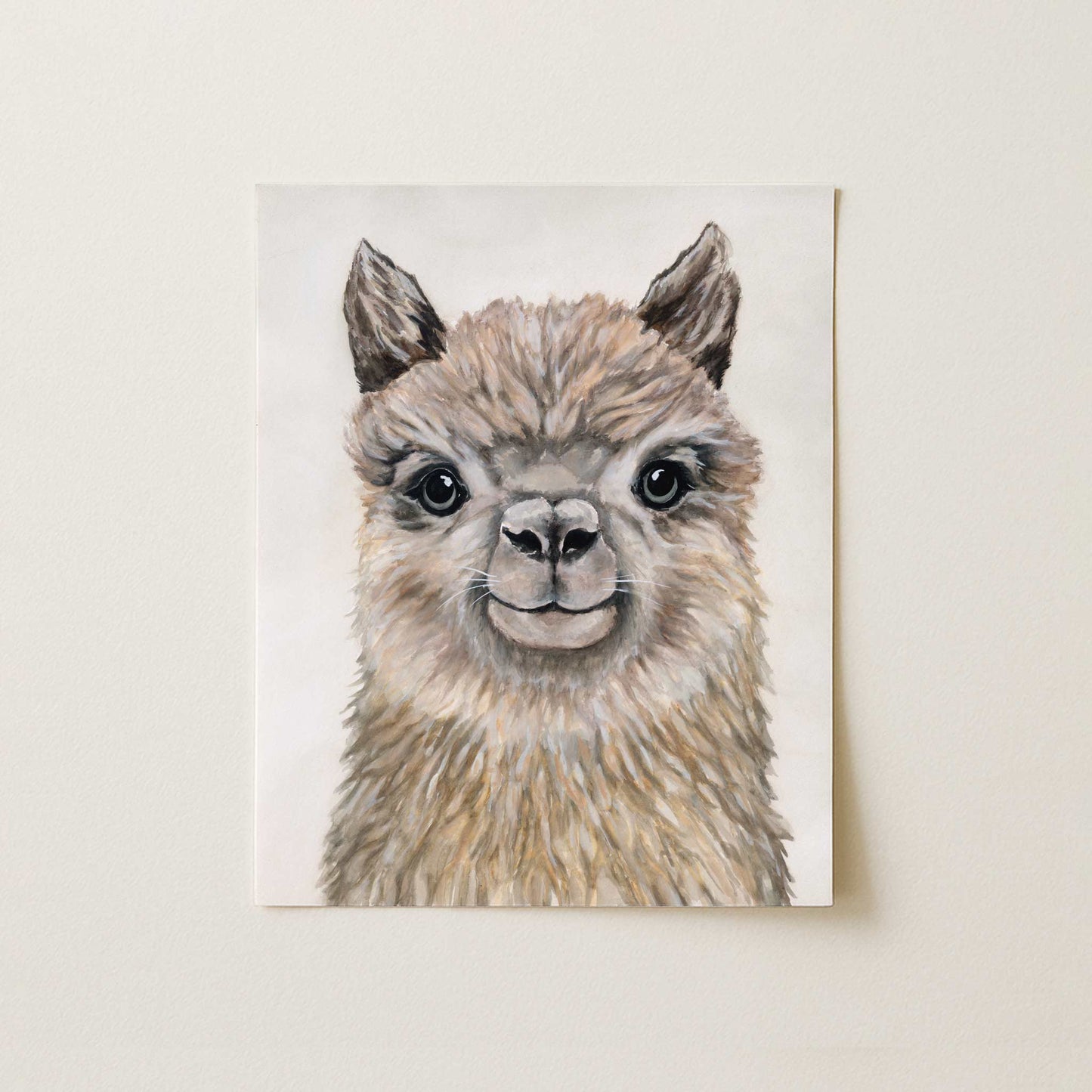 Alpaca