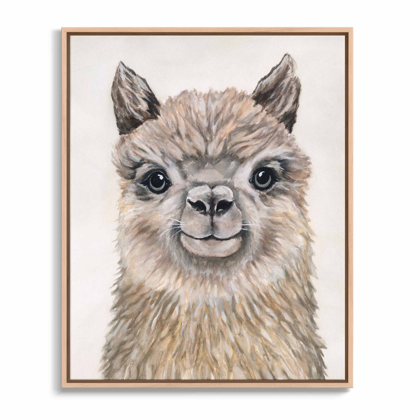 Alpaca