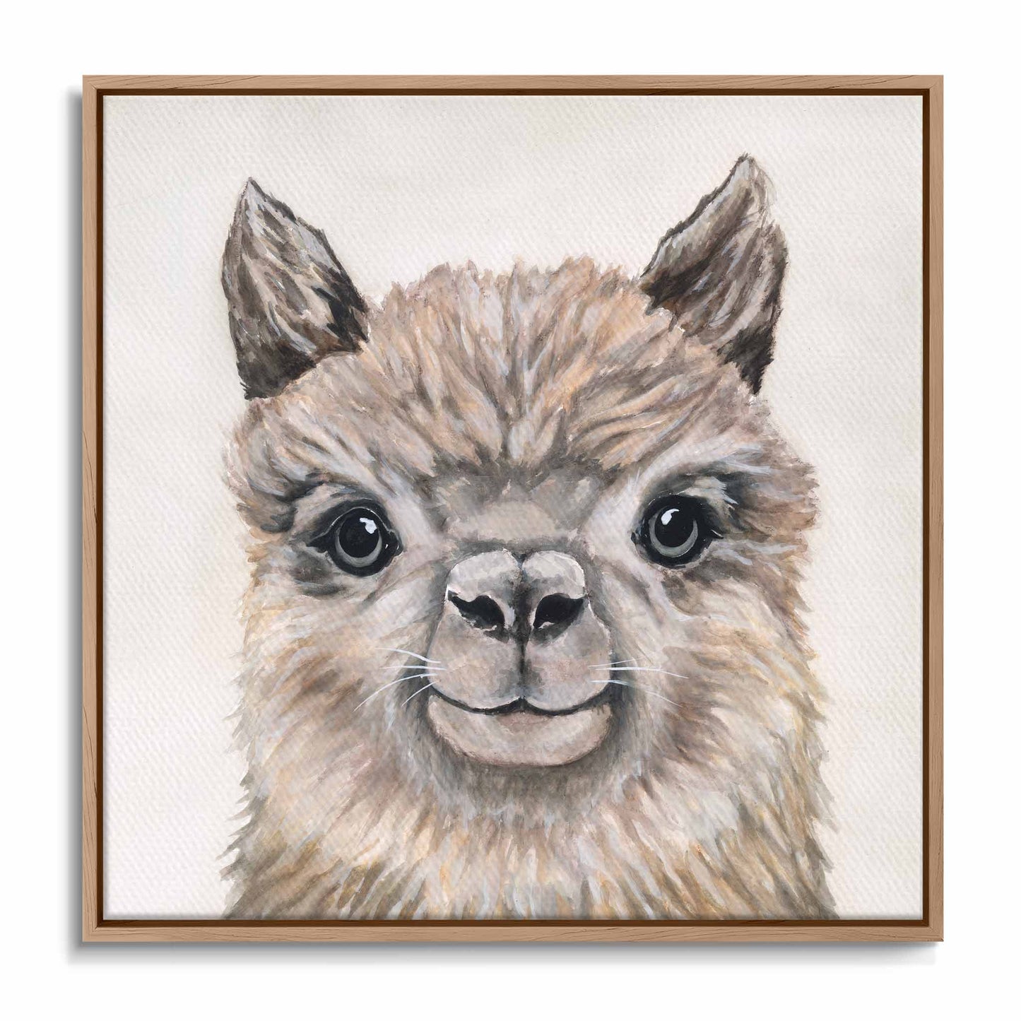 Alpaca