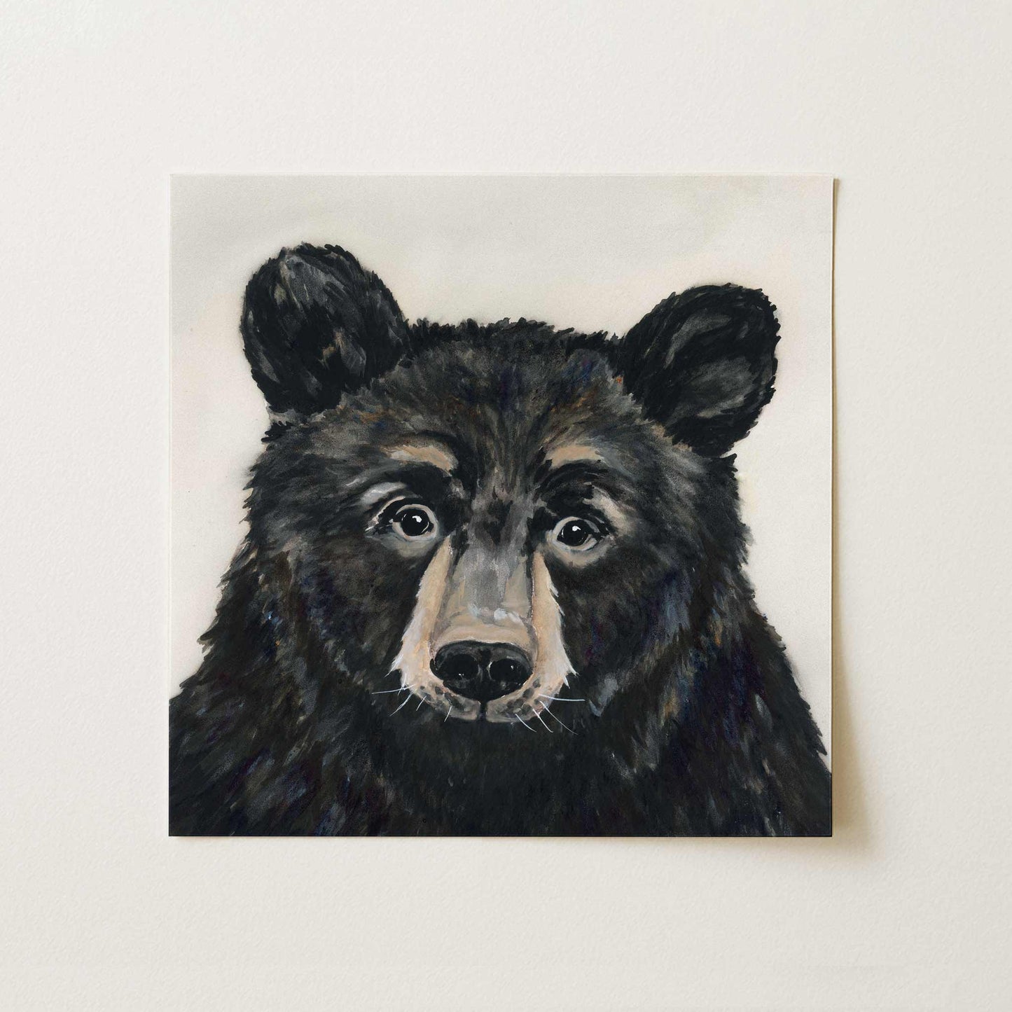 Black Bear