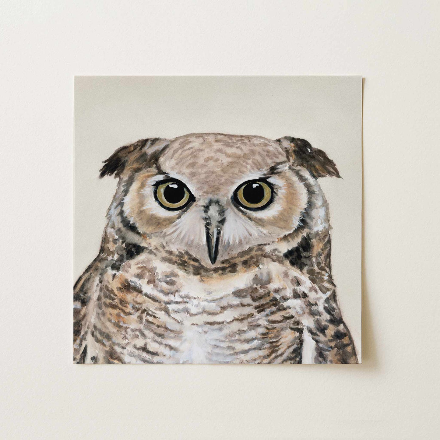 Owl