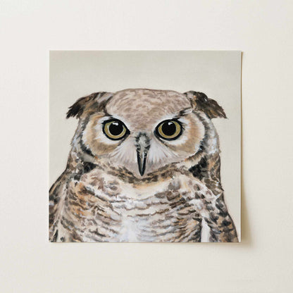 Owl