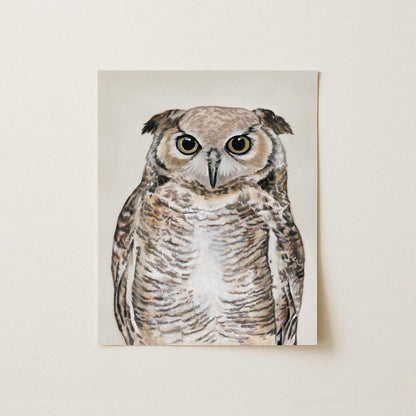 Owl