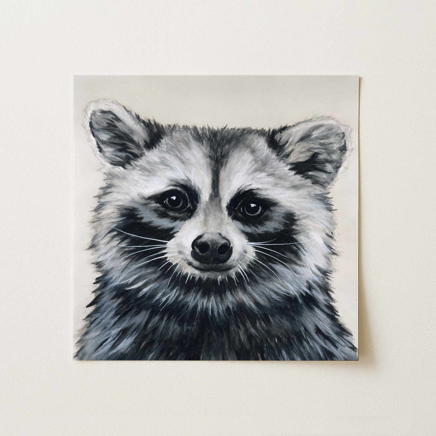 Raccoon