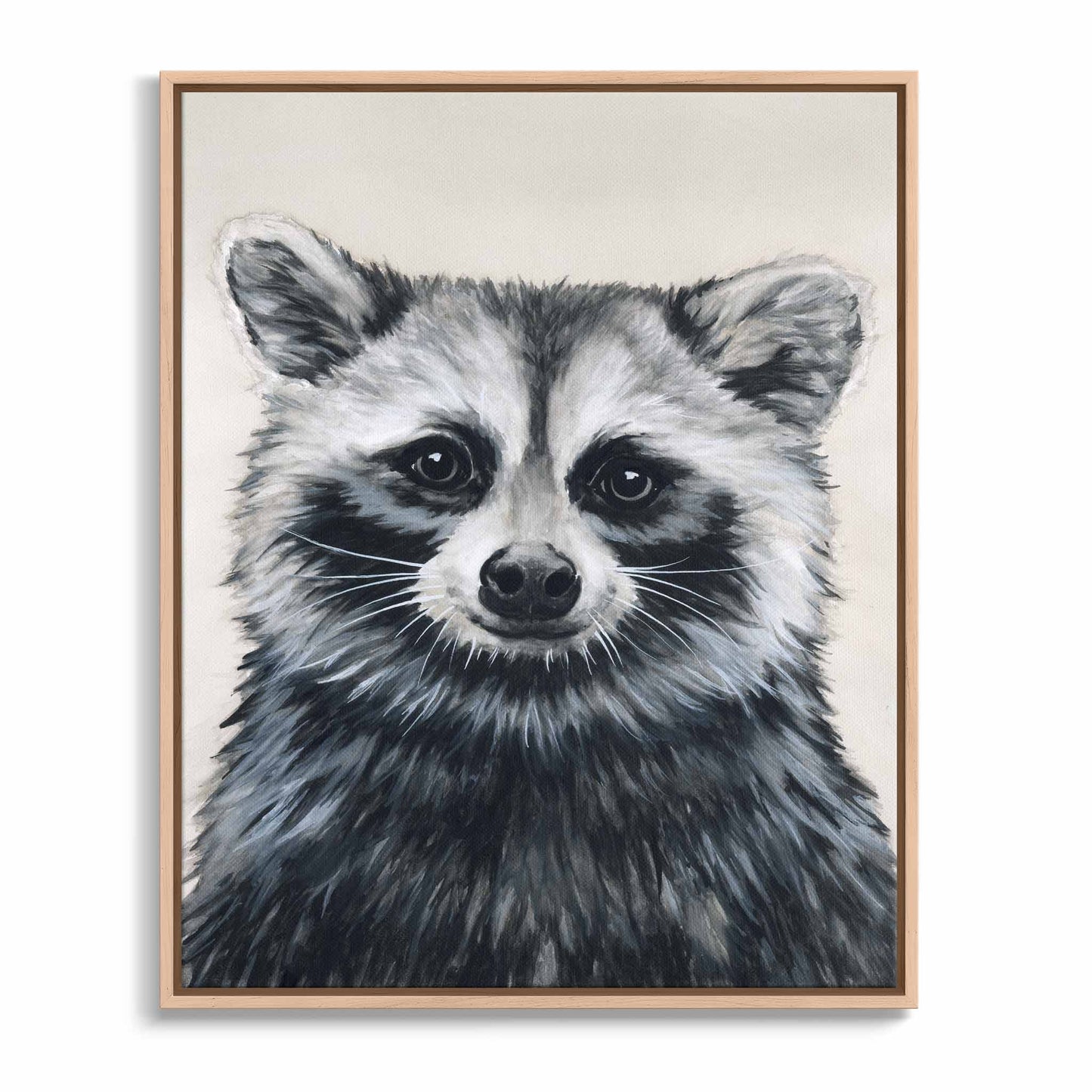 Raccoon