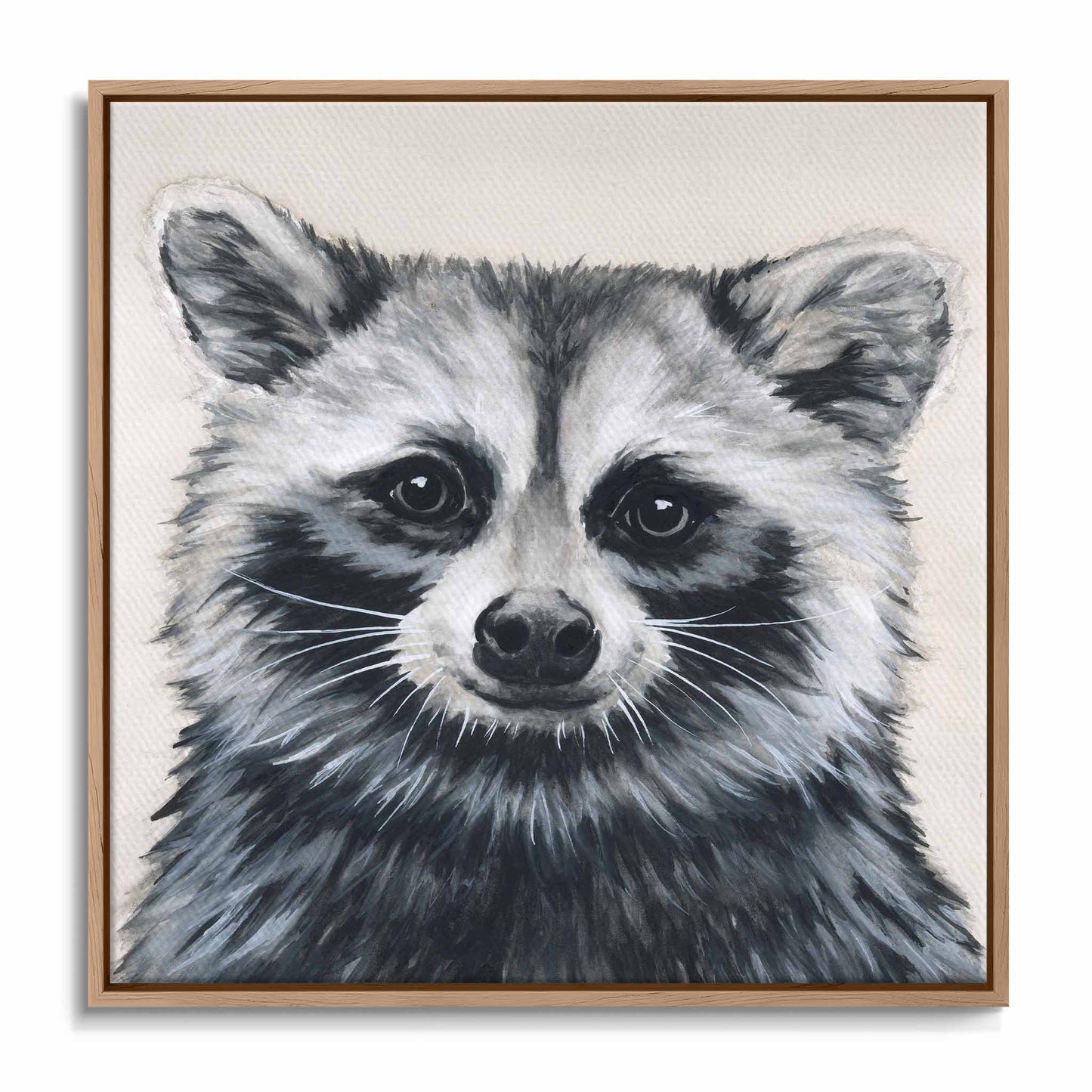 Raccoon